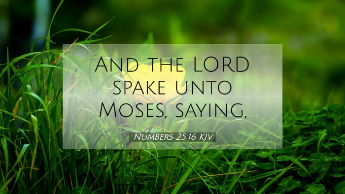 Picture 07 - Numbers 25:16 KJV Desktop Wallpaper - And the LORD spake unto Moses, - Desktop Bible Verse Wallpaper