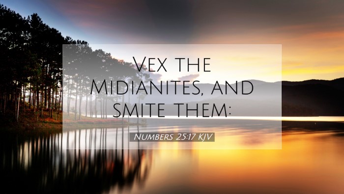 Picture 07 - Numbers 25:17 KJV Desktop Wallpaper - Vex the Midianites, and smite - Desktop Bible Verse Wallpaper