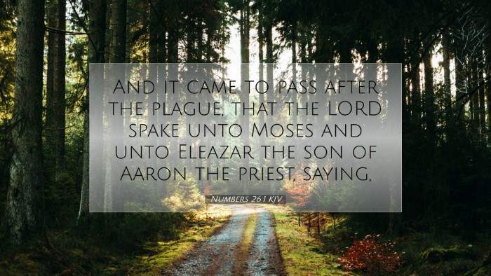 Picture 07 - Numbers 26:1 KJV Desktop Wallpaper - And it came to pass after the plague, that the - Desktop Bible Verse Wallpaper