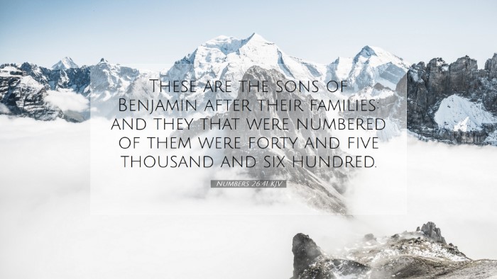 Picture 07 - Numbers 26:41 KJV Desktop Wallpaper - These are the sons of Benjamin after their - Desktop Bible Verse Wallpaper