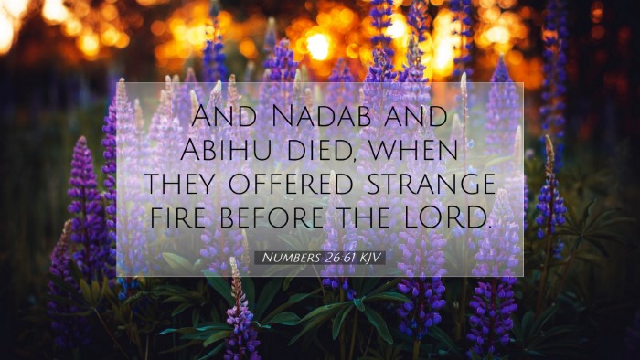 Picture 07 - Numbers 26:61 KJV Desktop Wallpaper - And Nadab and Abihu died, when they offered - Desktop Bible Verse Wallpaper