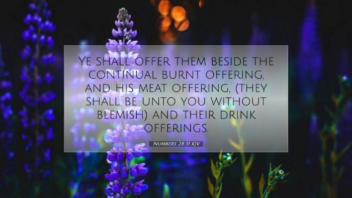 Picture 07 - Numbers 28:31 KJV Desktop Wallpaper - Ye shall offer them beside the continual burnt - Desktop Bible Verse Wallpaper