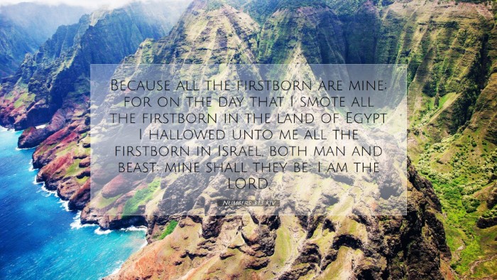 Picture 07 - Numbers 3:13 KJV Desktop Wallpaper - Because all the firstborn are mine; for on the - Desktop Bible Verse Wallpaper