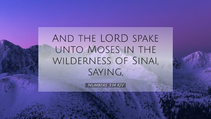 Picture 07 - Numbers 3:14 KJV Desktop Wallpaper - And the LORD spake unto Moses in the wilderness - Desktop Bible Verse Wallpaper