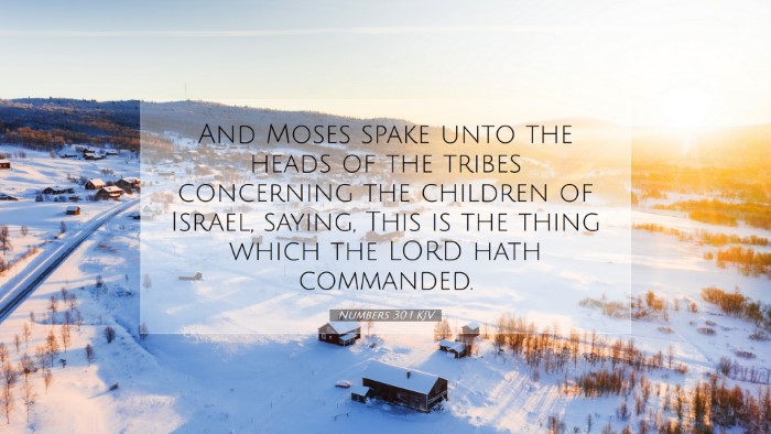 Picture 07 - Numbers 30:1 KJV Desktop Wallpaper - And Moses spake unto the heads of the tribes - Desktop Bible Verse Wallpaper