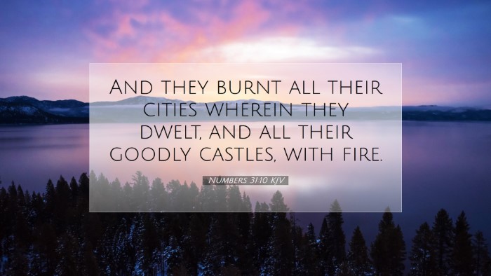 Picture 07 - Numbers 31:10 KJV Desktop Wallpaper - And they burnt all their cities wherein they - Desktop Bible Verse Wallpaper