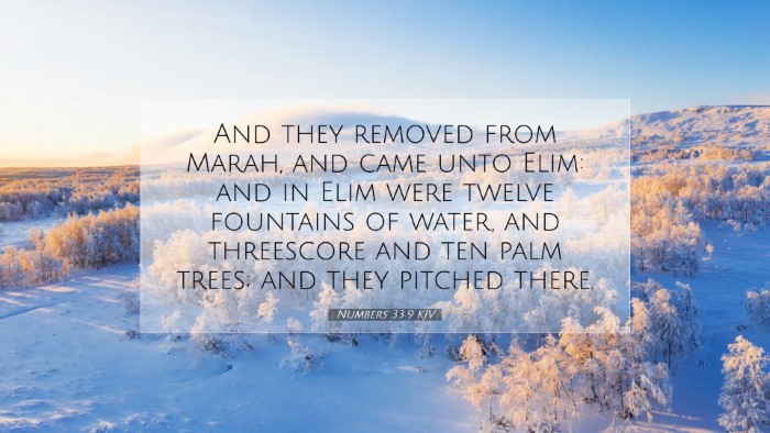 Picture 07 - Numbers 33:9 KJV Desktop Wallpaper - And they removed from Marah, and came unto Elim: - Desktop Bible Verse Wallpaper