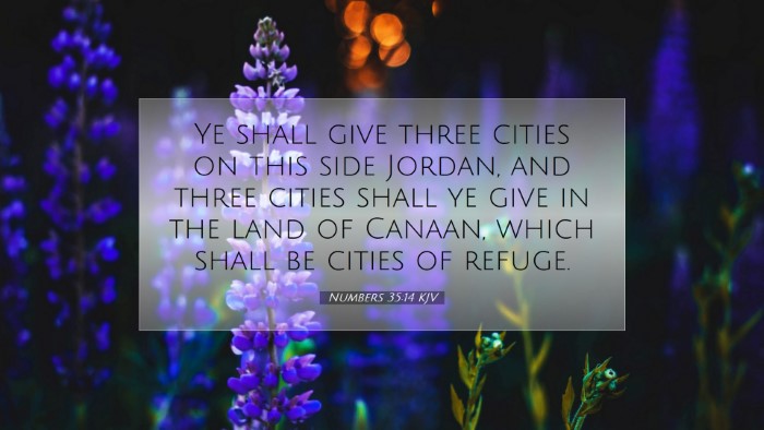 Picture 07 - Numbers 35:14 KJV Desktop Wallpaper - Ye shall give three cities on this side Jordan, - Desktop Bible Verse Wallpaper