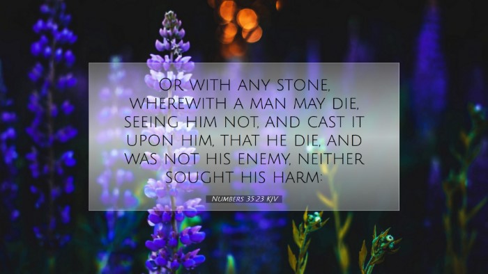 Picture 07 - Numbers 35:23 KJV Desktop Wallpaper - Or with any stone, wherewith a man may die, - Desktop Bible Verse Wallpaper
