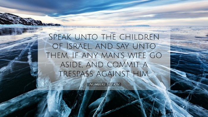 Picture 07 - Numbers 5:12 KJV Desktop Wallpaper - Speak unto the children of Israel, and say unto - Desktop Bible Verse Wallpaper