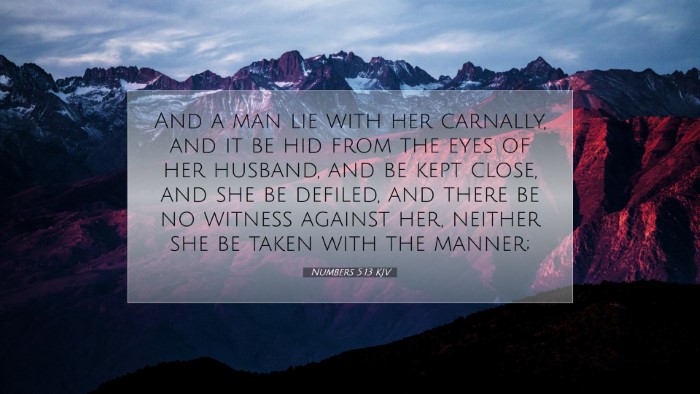 Picture 07 - Numbers 5:13 KJV Desktop Wallpaper - And a man lie with her carnally, and it be hid - Desktop Bible Verse Wallpaper