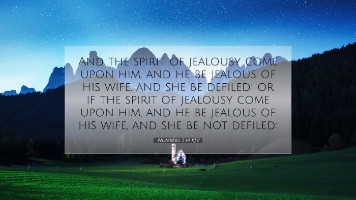 Picture 07 - Numbers 5:14 KJV Desktop Wallpaper - And the spirit of jealousy come upon him, and he - Desktop Bible Verse Wallpaper