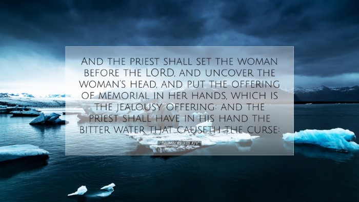 Picture 07 - Numbers 5:18 KJV Desktop Wallpaper - And the priest shall set the woman before the - Desktop Bible Verse Wallpaper