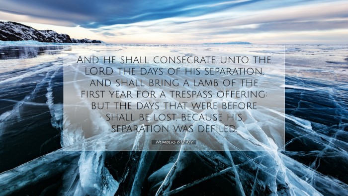 Picture 07 - Numbers 6:12 KJV Desktop Wallpaper - And he shall consecrate unto the LORD the days of - Desktop Bible Verse Wallpaper
