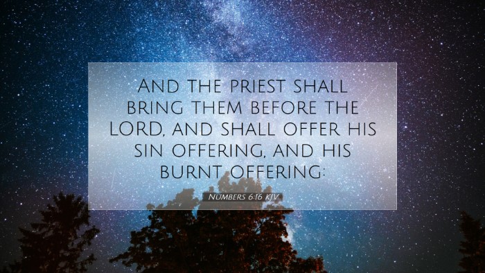 Picture 07 - Numbers 6:16 KJV Desktop Wallpaper - And the priest shall bring them before the LORD, - Desktop Bible Verse Wallpaper