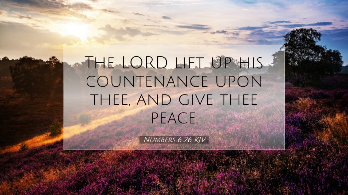 Picture 07 - Numbers 6:26 KJV Desktop Wallpaper - The LORD lift up his countenance upon thee, and - Desktop Bible Verse Wallpaper