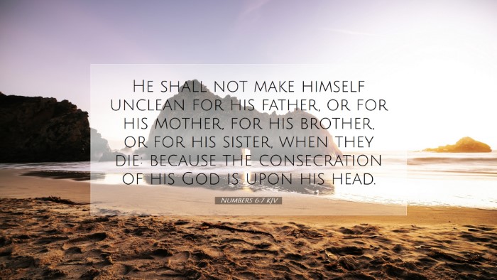 Picture 07 - Numbers 6:7 KJV Desktop Wallpaper - He shall not make himself unclean for his father, - Desktop Bible Verse Wallpaper