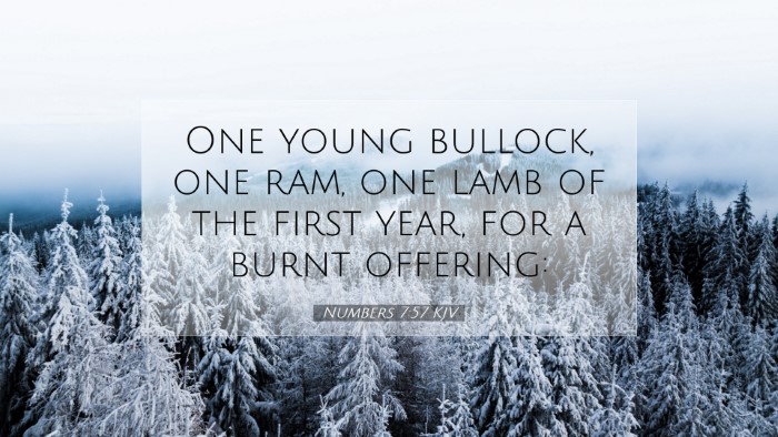 Picture 07 - Numbers 7:57 KJV Desktop Wallpaper - One young bullock, one ram, one lamb of the first - Desktop Bible Verse Wallpaper