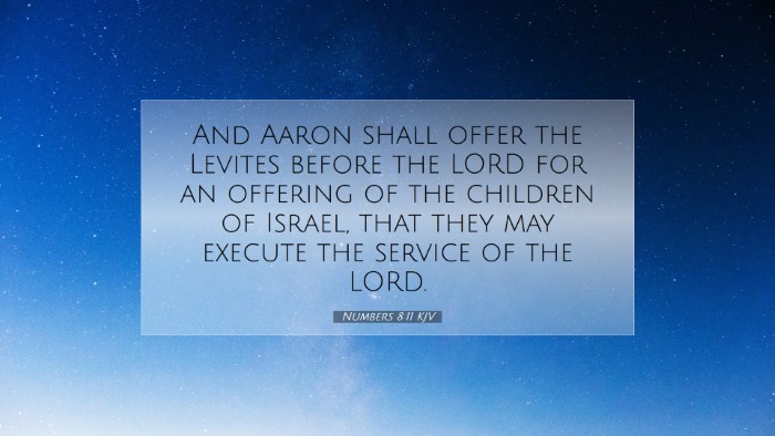 Picture 07 - Numbers 8:11 KJV Desktop Wallpaper - And Aaron shall offer the Levites before the LORD - Desktop Bible Verse Wallpaper