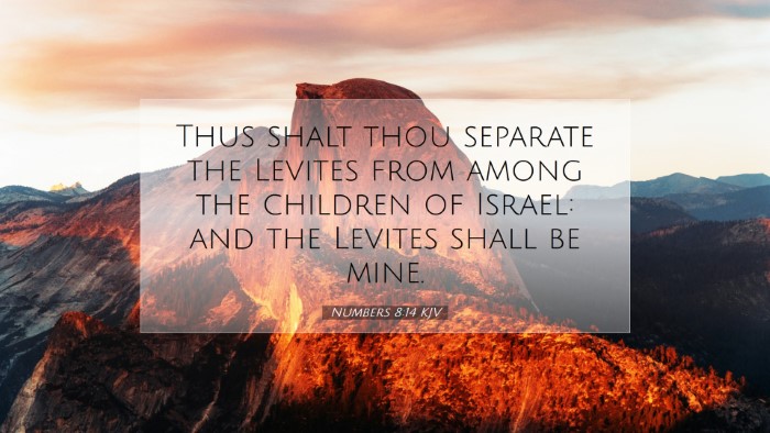 Picture 07 - Numbers 8:14 KJV Desktop Wallpaper - Thus shalt thou separate the Levites from among - Desktop Bible Verse Wallpaper