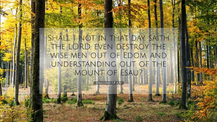 Picture 07 - Obadiah 1:8 KJV Desktop Wallpaper - Shall I not in that day, saith the LORD, even - Desktop Bible Verse Wallpaper