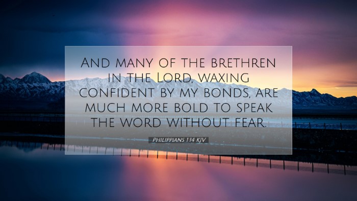 Picture 07 - Philippians 1:14 KJV Desktop Wallpaper - And many of the brethren in the Lord, waxing - Desktop Bible Verse Wallpaper