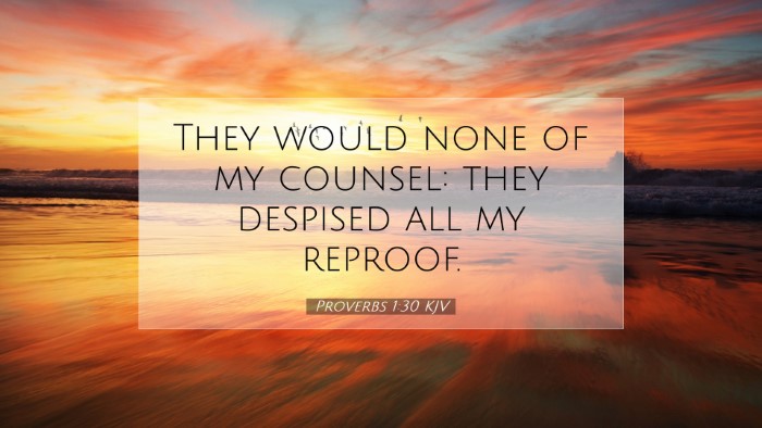 Picture 07 - Proverbs 1:30 KJV Desktop Wallpaper - They would none of my counsel: they despised all - Desktop Bible Verse Wallpaper