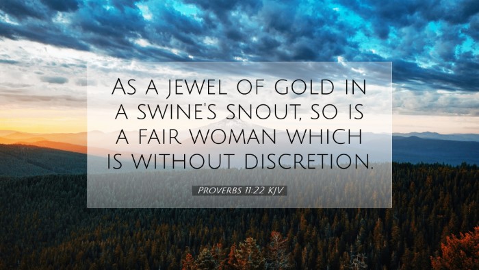 Picture 07 - Proverbs 11:22 KJV Desktop Wallpaper - As a jewel of gold in a swine's snout, so is a - Desktop Bible Verse Wallpaper