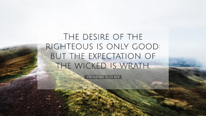 Picture 07 - Proverbs 11:23 KJV Desktop Wallpaper - The desire of the righteous is only good: but the - Desktop Bible Verse Wallpaper