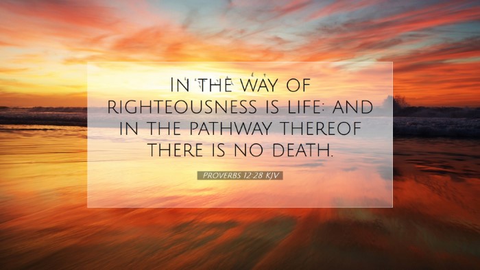 Picture 07 - Proverbs 12:28 KJV Desktop Wallpaper - In the way of righteousness is life: and in the - Desktop Bible Verse Wallpaper