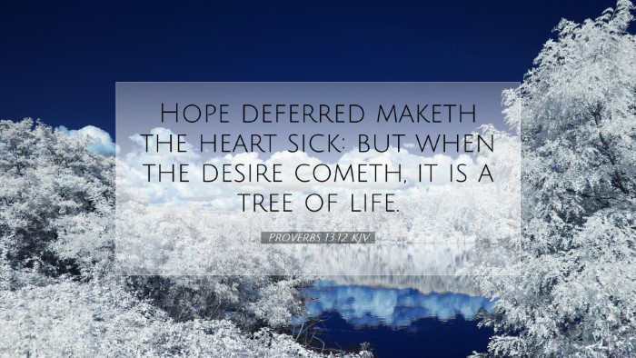 Picture 07 - Proverbs 13:12 KJV Desktop Wallpaper - Hope deferred maketh the heart sick: but when the - Desktop Bible Verse Wallpaper