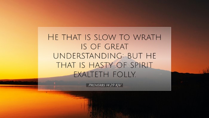 Picture 07 - Proverbs 14:29 KJV Desktop Wallpaper - He that is slow to wrath is of great - Desktop Bible Verse Wallpaper