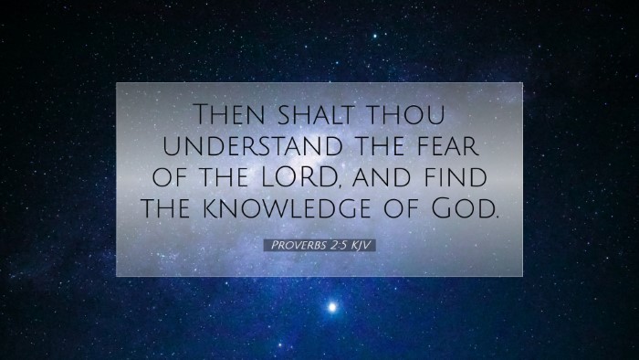 Picture 07 - Proverbs 2:5 KJV Desktop Wallpaper - Then shalt thou understand the fear of the LORD, - Desktop Bible Verse Wallpaper