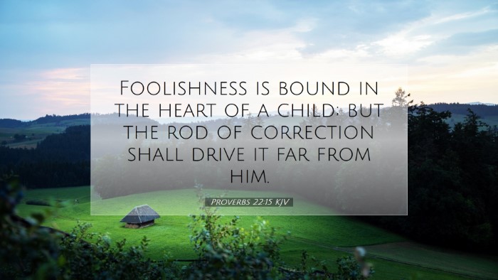 Picture 07 - Proverbs 22:15 KJV Desktop Wallpaper - Foolishness is bound in the heart of a child; but - Desktop Bible Verse Wallpaper