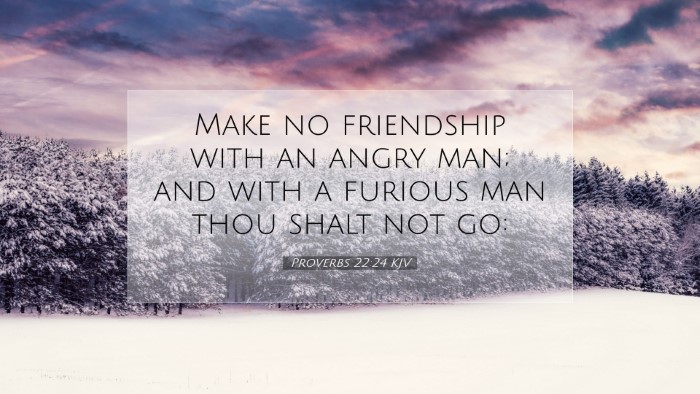 Picture 07 - Proverbs 22:24 KJV Desktop Wallpaper - Make no friendship with an angry man; and with a - Desktop Bible Verse Wallpaper
