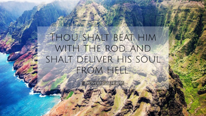 Picture 07 - Proverbs 23:14 KJV Desktop Wallpaper - Thou shalt beat him with the rod, and shalt - Desktop Bible Verse Wallpaper