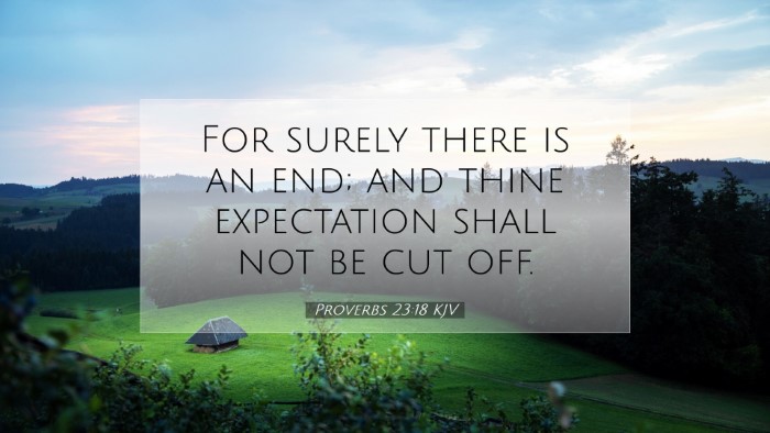 Picture 07 - Proverbs 23:18 KJV Desktop Wallpaper - For surely there is an end; and thine expectation - Desktop Bible Verse Wallpaper