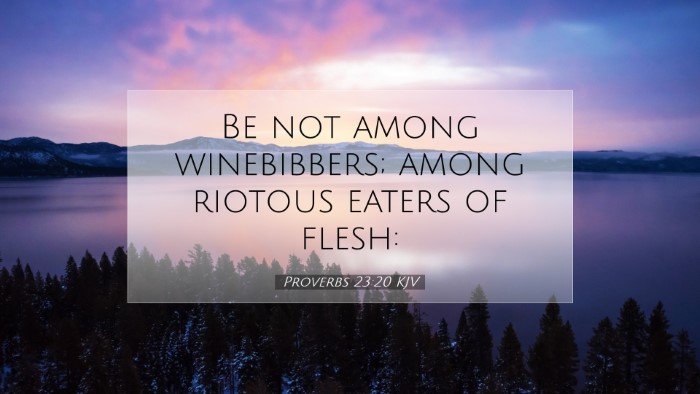 Picture 07 - Proverbs 23:20 KJV Desktop Wallpaper - Be not among winebibbers; among riotous eaters of - Desktop Bible Verse Wallpaper