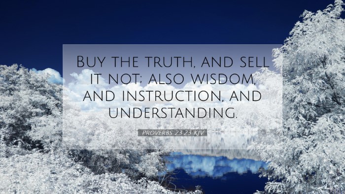 Picture 07 - Proverbs 23:23 KJV Desktop Wallpaper - Buy the truth, and sell it not; also wisdom, and - Desktop Bible Verse Wallpaper