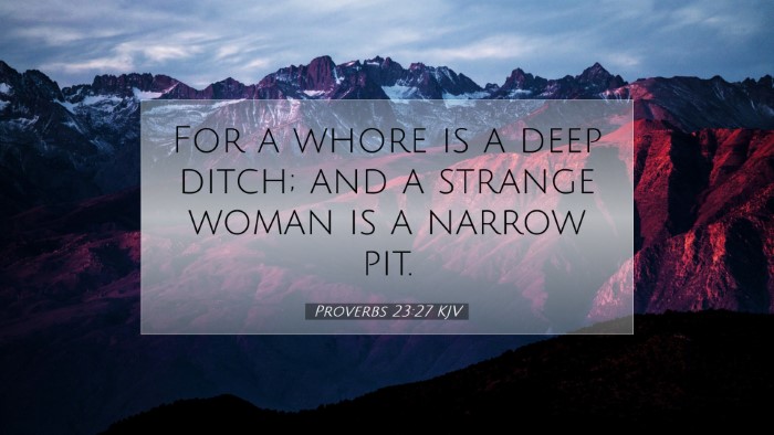 Picture 07 - Proverbs 23:27 KJV Desktop Wallpaper - For a whore is a deep ditch; and a strange woman - Desktop Bible Verse Wallpaper