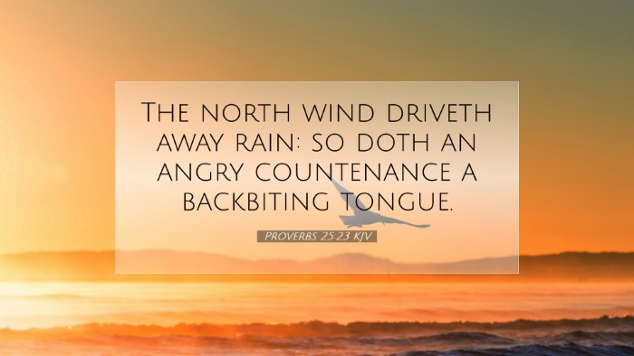 Picture 07 - Proverbs 25:23 KJV Desktop Wallpaper - The north wind driveth away rain: so doth an - Desktop Bible Verse Wallpaper
