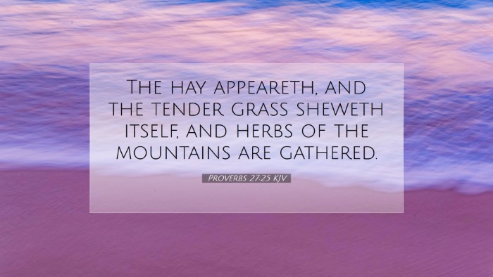 Picture 07 - Proverbs 27:25 KJV Desktop Wallpaper - The hay appeareth, and the tender grass sheweth - Desktop Bible Verse Wallpaper