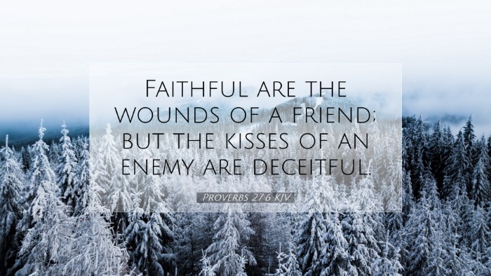 Picture 07 - Proverbs 27:6 KJV Desktop Wallpaper - Faithful are the wounds of a friend; but the - Desktop Bible Verse Wallpaper