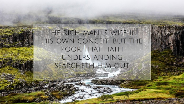 Picture 07 - Proverbs 28:11 KJV Desktop Wallpaper - The rich man is wise in his own conceit; but the - Desktop Bible Verse Wallpaper