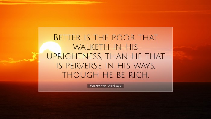 Picture 07 - Proverbs 28:6 KJV Desktop Wallpaper - Better is the poor that walketh in his - Desktop Bible Verse Wallpaper