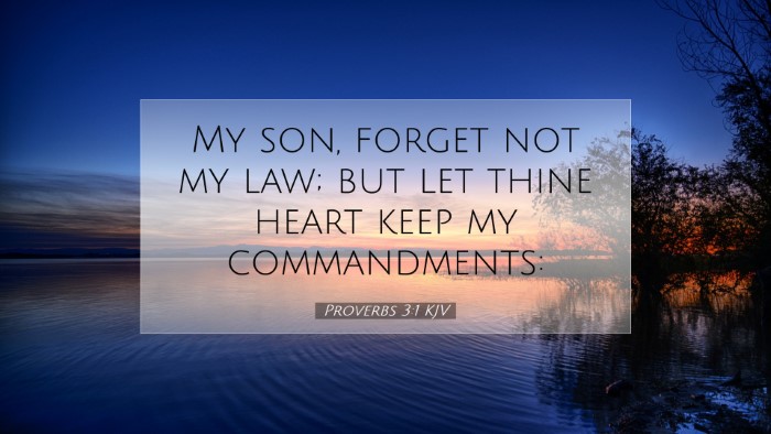 Picture 07 - Proverbs 3:1 KJV Desktop Wallpaper - My son, forget not my law; but let thine heart - Desktop Bible Verse Wallpaper