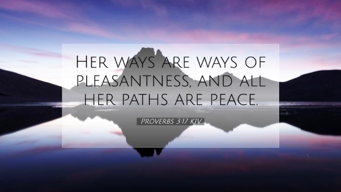 Picture 07 - Proverbs 3:17 KJV Desktop Wallpaper - Her ways are ways of pleasantness, and all her - Desktop Bible Verse Wallpaper