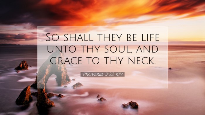 Picture 07 - Proverbs 3:22 KJV Desktop Wallpaper - So shall they be life unto thy soul, and grace to - Desktop Bible Verse Wallpaper