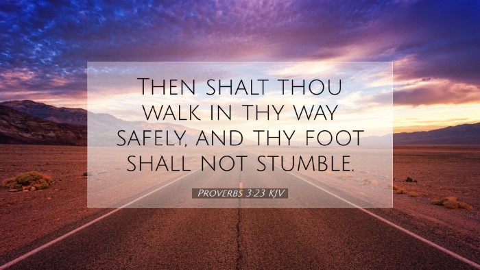 Picture 07 - Proverbs 3:23 KJV Desktop Wallpaper - Then shalt thou walk in thy way safely, and thy - Desktop Bible Verse Wallpaper