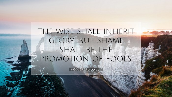 Picture 07 - Proverbs 3:35 KJV Desktop Wallpaper - The wise shall inherit glory: but shame shall be - Desktop Bible Verse Wallpaper